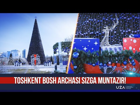 Toshkent bosh archasi sizga muntazir!