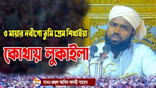 ও মায়ার নবীগো তুমি প্রেম শিখাইয়া কোথায়া লুকাইলা। মাওঃ রুহুল আমিন আল কাদরী। হবিগঞ্জ। Habiganj Media
