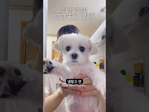 평생 못 볼 곳 보여주기