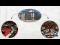 Video Section Analysis and Themes