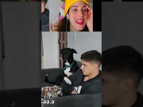 lo MEJOR de ARGENTINA *videos de risa* #34