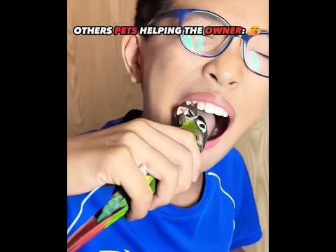 Others Pets Helping VS This PET ☠️ | #edit #viralvideo #skulledit #newyork #usa