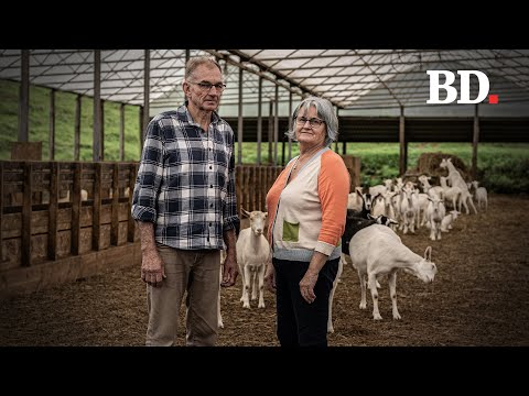 YouTube video thumbnail: Saving the Family Farm: How One Couple Pushed Back in a Dispute With the Bank of New Zealand