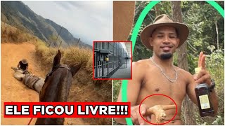 🚨HOMEM QUE CORTOU PATAS DO CAVALO NÃO VAI PRESO!