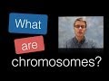 Understanding Chromosomes