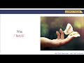 Understanding the Concept of 'White Way'
