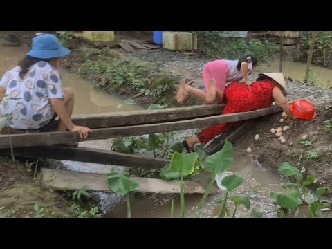 T,ai N,ạn Bất Ngờ Khi 3 Bà Cháu Đang Trên Đường Đi Lượm Hột Vịt | TKQ & Family T1112