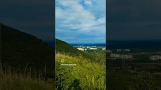 ସବୁଜ ରଙ୍ଗର.. dekha akasha pindhichi #viralvideo #greenpic #green #junglephoto #sabujarangarasadhee
