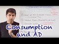 Understanding Consumption and Aggregate Demand