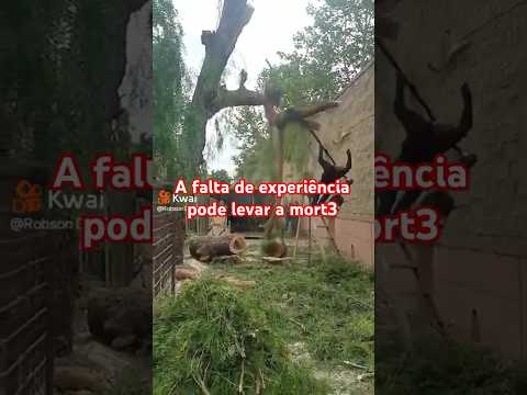 Se você não é profissional!! Vejam este vídeo antes de comprar moto-poda. #shorts