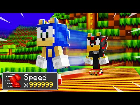 I FOUND SONIC and SHADOW in Minecraft!