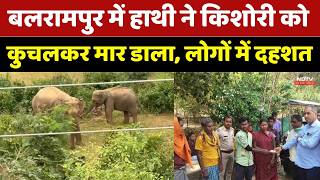 Balrampur Elephant Attack: जंगली हाथी ने ली किशोरी की जान, Mahua बीनने गई थी। Top News । Breaking