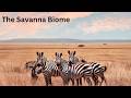 Savannah Ecosystem and Adaptations