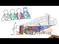 Understanding Achondroplasia