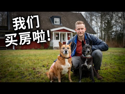 北欧房子白菜价？这点钱买五亩多地，太赚了！欢迎来我家参观 My Sweden House Tour Vlog [4K]