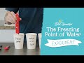 Effects of Salt on Freezing Point