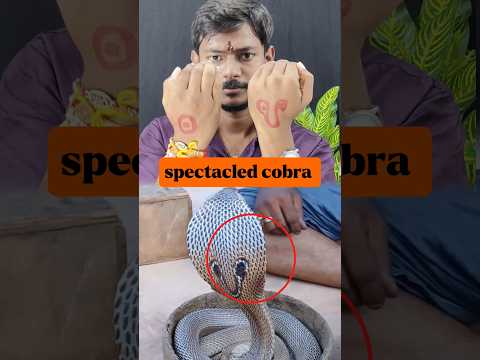 शिकारी के आंख में जहर थूकने वाला !🐍😲✅#viralvideo #snake #science
