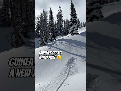 Not sure which scenario is worse 😅 #snowboarding #snowboard #snowboardingtips #fail