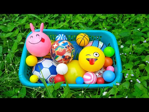 Mencari Bola Basket, Bola Warna Warni, Bola Karakter,Bola Sepak,Bola Kejutan,Ikan,Bebek,Tayo,Mobilan