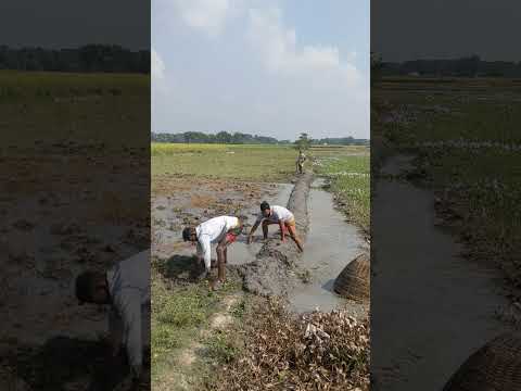 what did๐๐ #foryou #funny #shorts