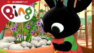 Les paillettes magiques | Bing Épisodes | Bing Français
