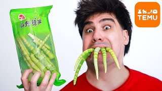 PROVEI 10 COMIDAS DA TEMU