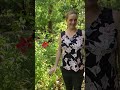 Native Plants and Their Characteristics