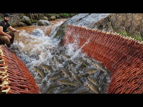 İnteresting Fish Traps / Fishing Technique
