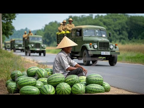 【抗日電影】八路喬裝瓜農，巧妙伏擊日軍車隊，打他們個措手不及    ⚔️  抗日