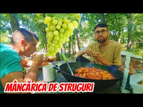 Mâncărica de struguri albi cu piept de pui la Căsuța din Pădure !!