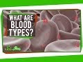 Understanding Blood Types and Compatibility