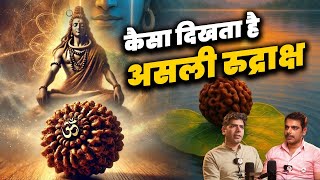 कैसा दिखता है असली रुद्राक्ष ? @rudrasamrat #rudraksha #mahadev #rudraksh #spiritualjourney