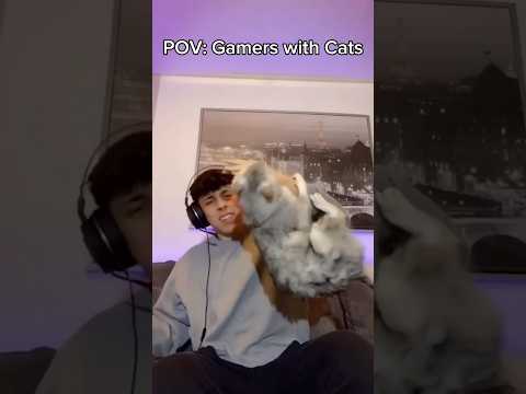 Gamers with Cats Be Like… #shorts #comedy #relatable #funny #meme credit: @deksythecat
