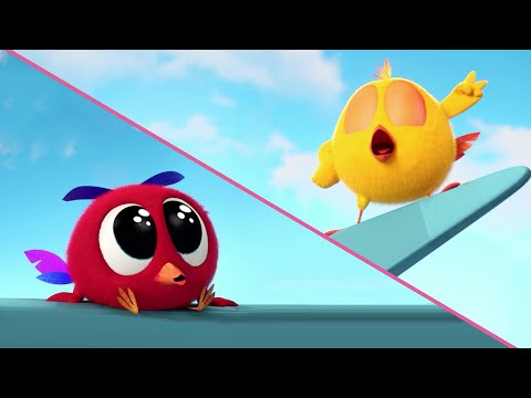 Chicky y Poyo andan de turistas 🐥 ¿Dónde está Chicky? | Colección dibujos animados para Niños