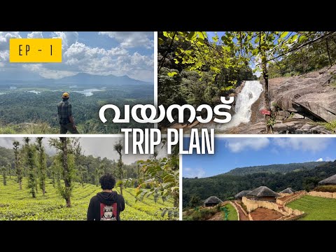 Wayanad Travel Plan | One day Trip ഒരു ദിവസം കൊണ്ട് കാണാൻ പറ്റുന്ന സ്ഥലങ്ങൾ #wayanad #wayanadtravel