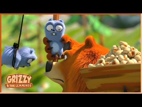 Fake Brother | Grizzy & the lemmings (Clip) | 🐻🐹 Cartoon for Kids