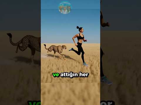 Çitayla Koşu Yarışı Yaparsan... 🐆🤯🏃‍♂️