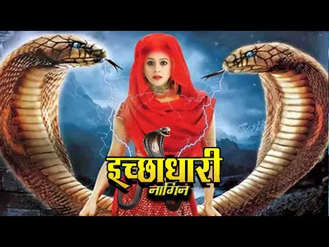 Ichchadhari Nagin ( इच्छाधारी नागिन ) | Superhit Naag Nagin Web Series Short 2024 | Kivi TV