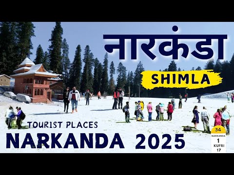 Narkanda Himachal Pradesh | Narkanda Shimla Tour Plan | Narkanda Tourist Places | Narkanda Snowfall