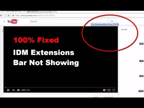 idm panel not showing in chrome youtube