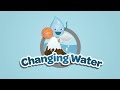 Exploring the States of Water