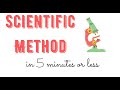 Understanding Variables in Experiments