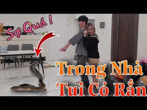 [Vlog] Trong Nhà Gao Bạc Xuất Hiện "Rắn Lạ" Và Pha Xử Lý Rắn Đi Vào Lòng Đất Khiến Cô Ngân Khóc Thét