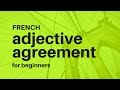 Understanding Gender in French Adjectives