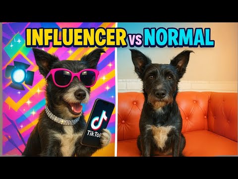 🐕 Perros INFLUENCERs VS vida REAL ¡Lo que NO TE CUENTAN! Lana