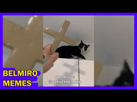 Belmiro Memes: Melhores dublagens engraçadas da semana 26
