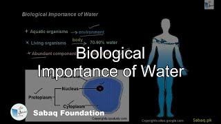 Biological Importance of Water