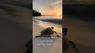 Psalm 13 in song: Hope in the Lord #pianoworship, #music #psalm13