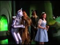 The Wizard of Oz Character Insights