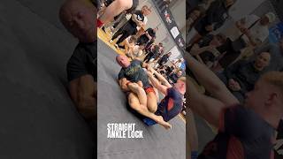 Straight ankle lock💥 #leglock #tatamybjj #nogi #grappling #bjj #jiujitsu #tatamy